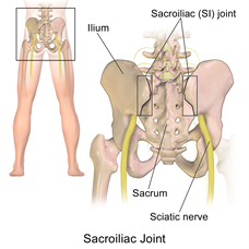 The SI joint